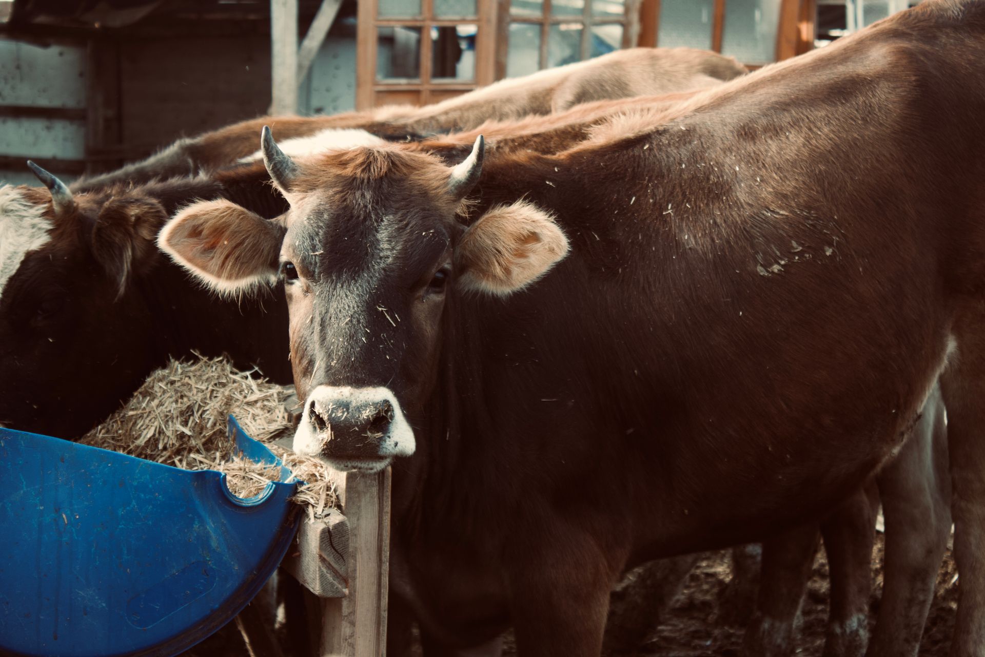 Farm Financial Planning: How Much Debt Is Too Much for Land or Equipment?