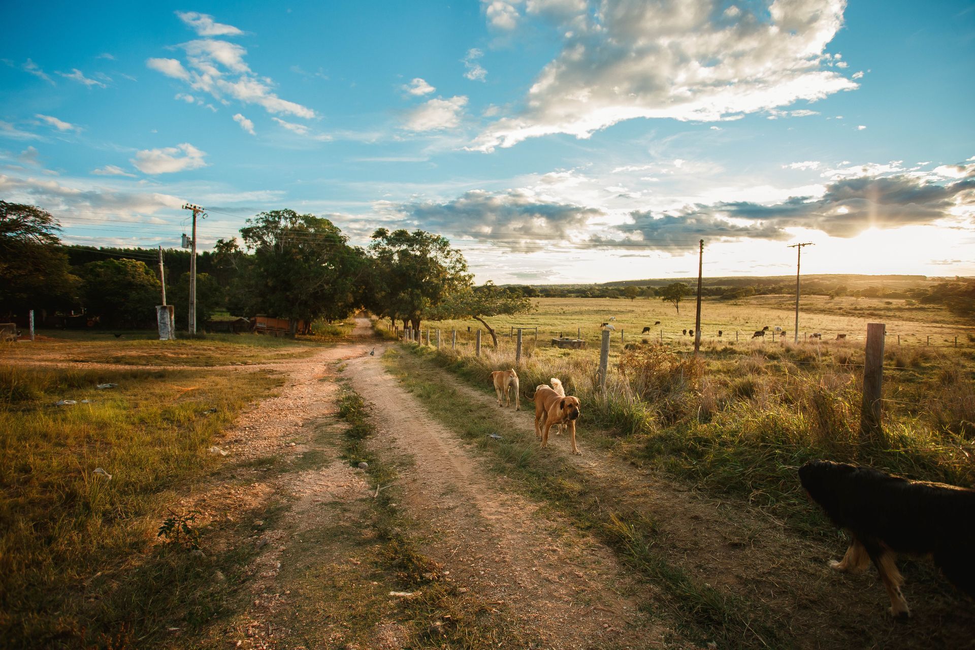 Farm Succession Planning: How Ranch Families Prepare for the Future